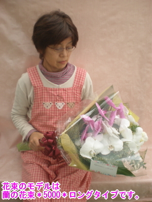 蘭の花束＊ミディタイプ＊小サイズ