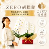 循環型の胡蝶蘭ギフト「ZERO胡蝶蘭」販売開始のお知らせ