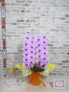 【お供え】大変喜んでくれて送った私たちも鼻高々です。