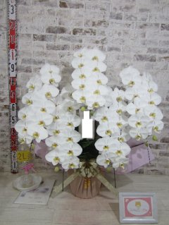【リニューアルのお祝い】格調高さと華やかさを兼ね備えた姿に、 大切なお客様にお贈りするのにぴったりだと感じました。