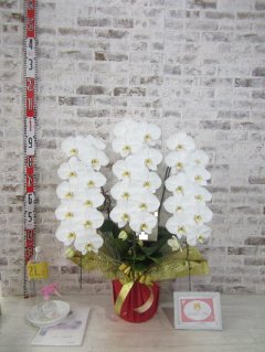 【受章祝い】伯父さんにも凄く喜んでもらいました。