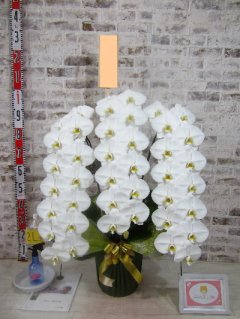 【移転祝い】前回の対応の素晴らしさが頭に残っており今回もお願いした次第です。