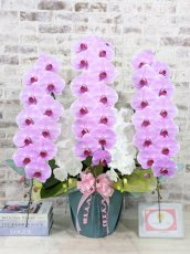 画像1: 【※大型送料3,800円】新商品！ハッピーシルキー　５本立＊薄ピンク・白＊（大輪）＜７つの特典付き！＞〈約高さ９５ｃｍ、横幅８５ｃｍ、奥行き５０ｃｍ〉70輪以上 (1)