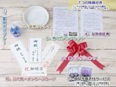 画像9: ☆鉢も楽しむ！7種の『スクエア鉢』☆華やかなピンク大輪胡蝶蘭＊角鉢＊１本立＊＜７つの特典付き！＞〈約高さ80ｃｍ、横幅25ｃｍ、奥行き35ｃｍ〉11輪以上＜squareシリーズ＞ (9)