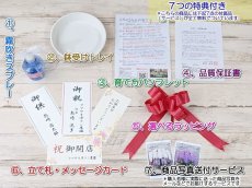 画像7: 【※大型送料3,600円】【上級　鳴滝清流こちょうらん　５本立】＊白＊（大輪）＜７つの特典付き！＞ (7)