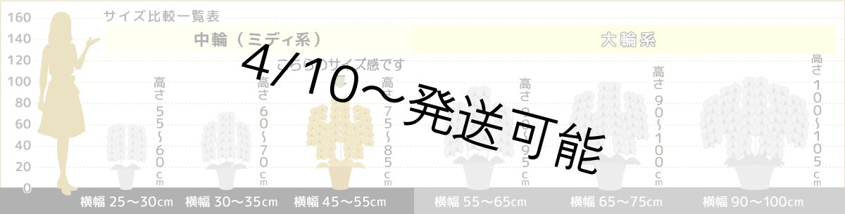 画像8: 【農林水産大臣賞受賞品種】ミディ系ピンク胡蝶蘭！『乙姫（おとひめ）』＊５本立＊＜７つの特典付き！＞〈約高さ８０ｃｍ、横幅５０ｃｍ、奥行き５０ｃｍ〉８０輪以上 (8)
