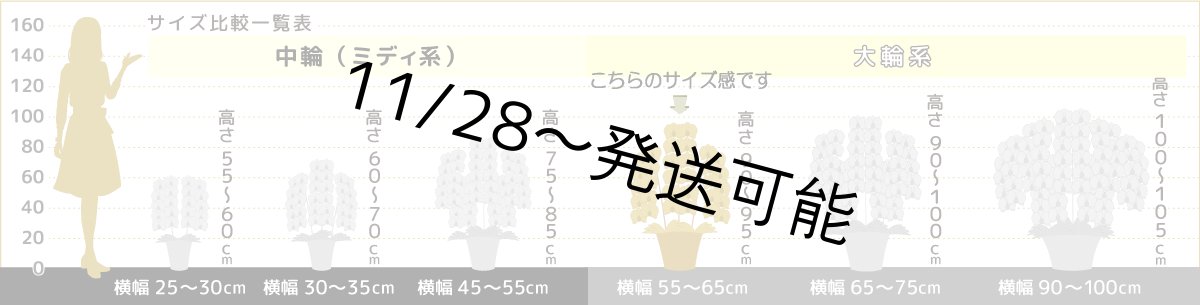 画像8: さくら色大輪胡蝶蘭＊『ハッピー・ストリーム』Ｍサイズ(２本立)＜７つの特典付き！＞〈約高さ８５ｃｍ、横幅４５ｃｍ、奥行き４５ｃｍ〉24輪以上 (8)