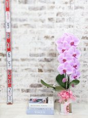 画像8: ☆鉢も楽しむ！7種の『スクエア鉢』☆華やかなピンク大輪胡蝶蘭＊角鉢＊１本立＊＜７つの特典付き！＞〈約高さ80ｃｍ、横幅25ｃｍ、奥行き35ｃｍ〉11輪以上＜squareシリーズ＞ (8)