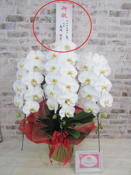 【完売】  後ろ立て紙札・大』（厚紙製）500円 (＊お花をご購入時に 着物・浴衣