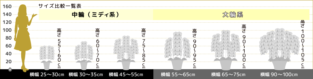 ミディと大輪比較一覧表