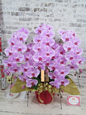 【米寿のお祝い】立派な胡蝶蘭を送って頂き、誠に有難うございます。  祖母も喜んでもらえると思います。