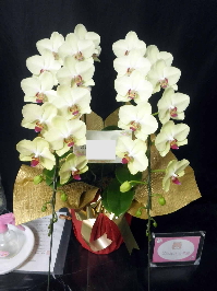 【開店10周年のお祝い】先程、友人から"綺麗なお花をありがとう！"と、お礼の連絡が入りました！