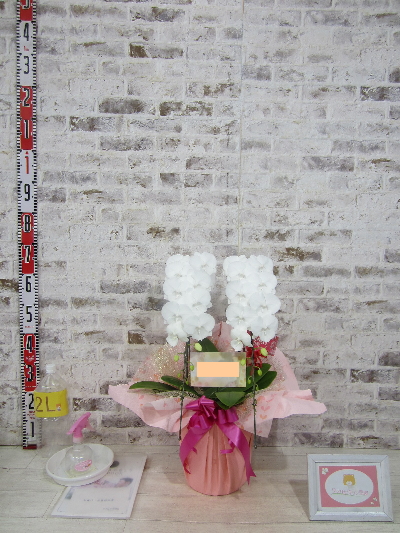 【母の日の贈り物として】自分もお花見てみたら、頼んでよかったなとしみじみ思いました。
