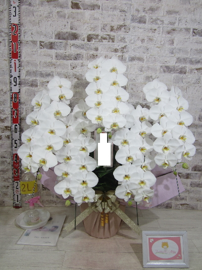 【リニューアルのお祝い】格調高さと華やかさを兼ね備えた姿に、 大切なお客様にお贈りするのにぴったりだと感じました。