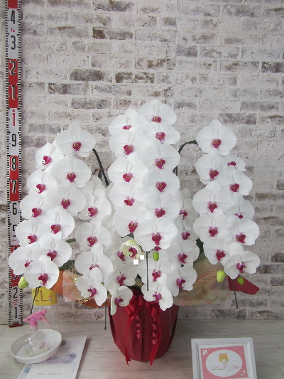 【受章祝い】とてもすてきなお花とラッピングで、画像でも良さが伝わってきます。