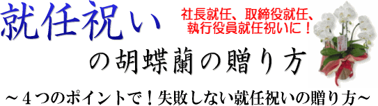 これまでで最高の役員就任 お祝い メール すべての美しい花の画像