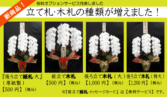 Ckd 防爆形5ポート弁 エア工具本体 Diy 工具 セレックスバルブ M4f310e 10 Gp Nc 5 Cu Ac0v Gaos 店5 500円 税込 以上のご購入で送料無料 その他 Ckd 防爆形5ポート弁 エア工具本体 Diy 工具 セレックスバルブ M4f310e 10 Gp Nc 5 Cu Ac0v Gaos 店5 500円 税込 以上のご購入で送料無料 その他