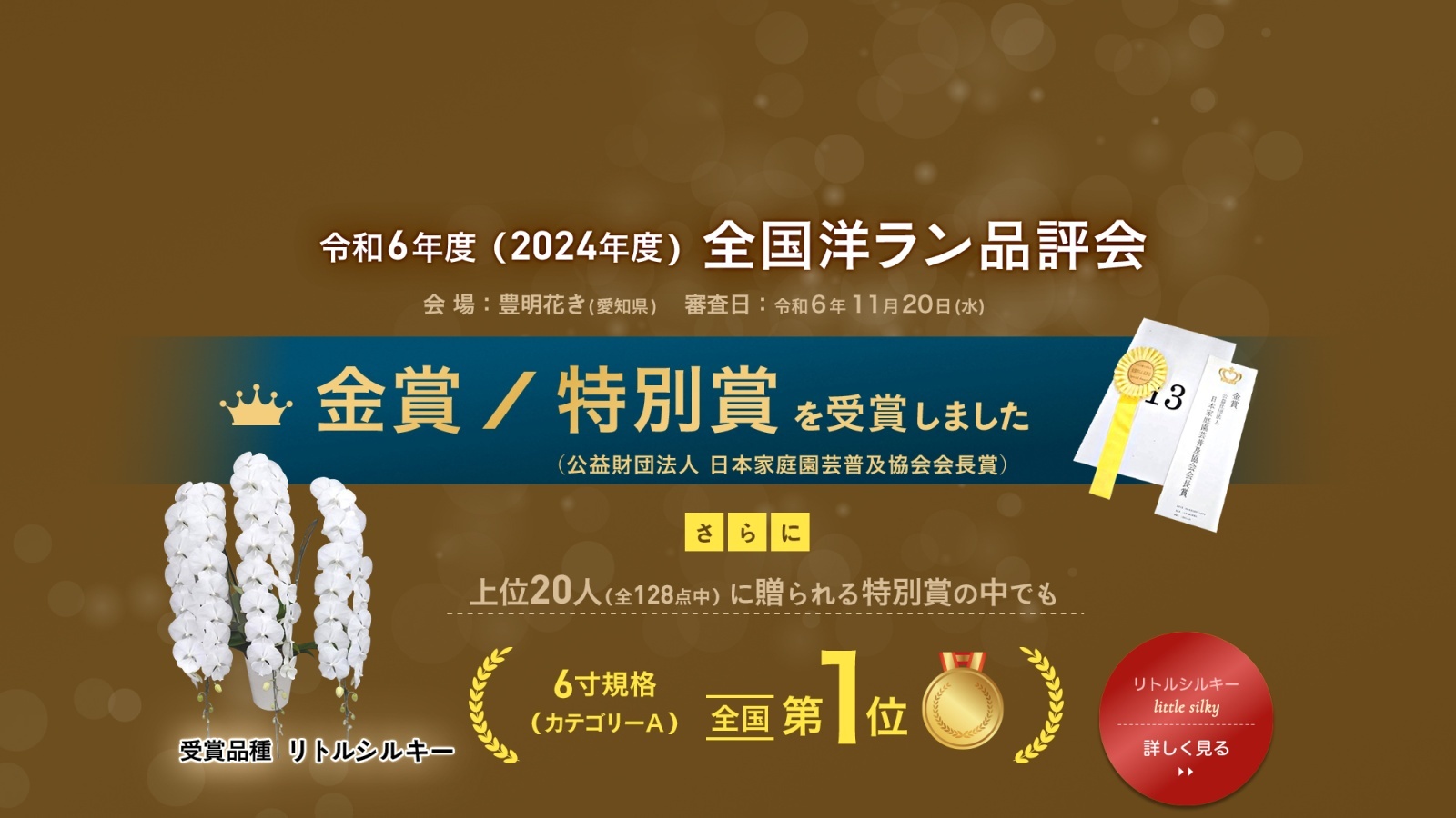 袋帯 胡蝶蘭 水色 銀糸 全通 唐織 お仕立て込み 着物・浴衣